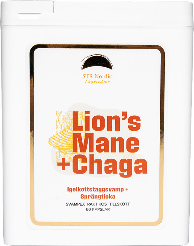 Lion's Mane + Chaga